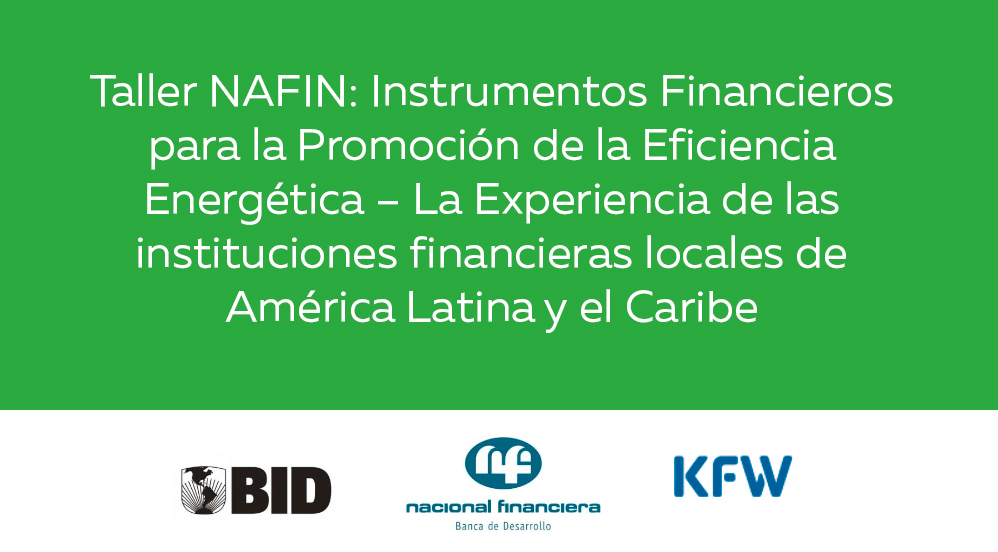 Financial-Instruments-for-the-Promotion_es