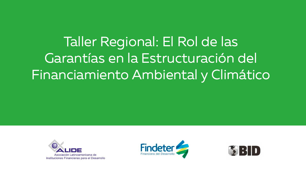 The-Role-of-Guarantees_es