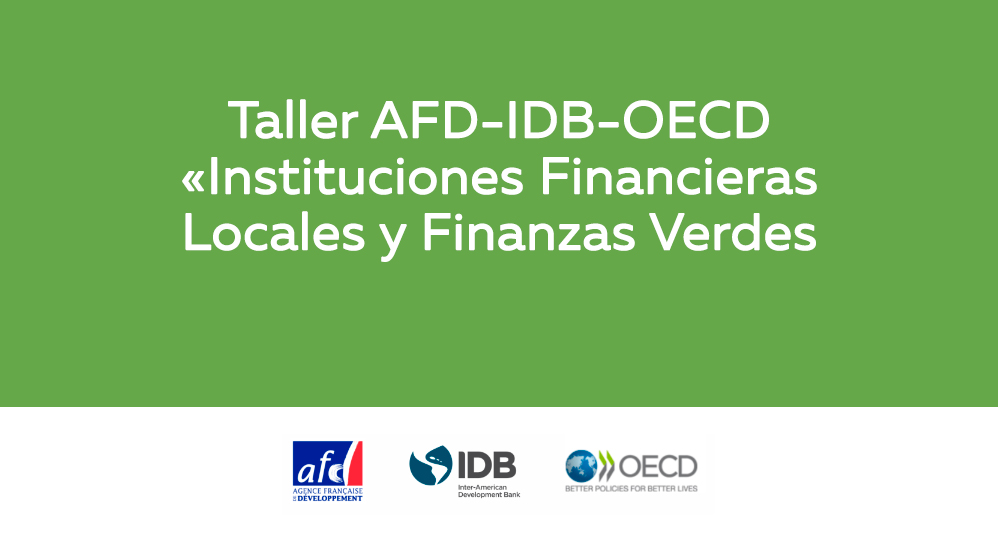 AFD-IDB-OECD-Workshop_es