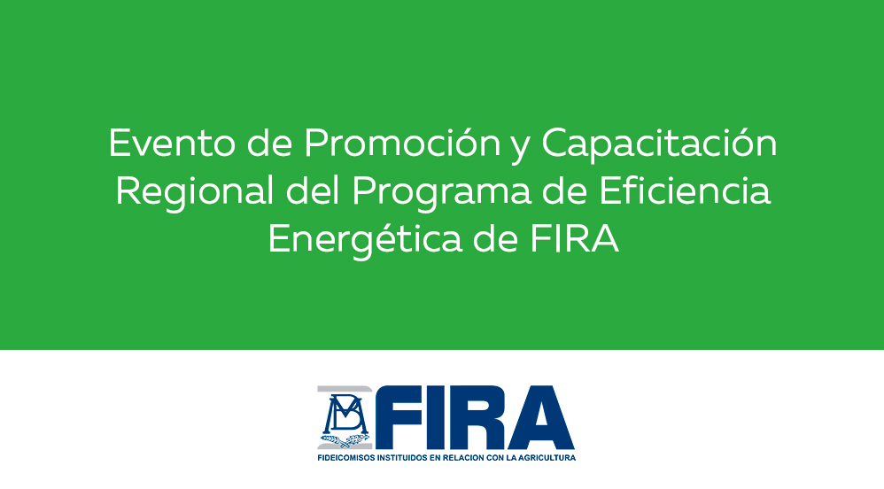 Event-for-the-Promotion-and-Regional_es