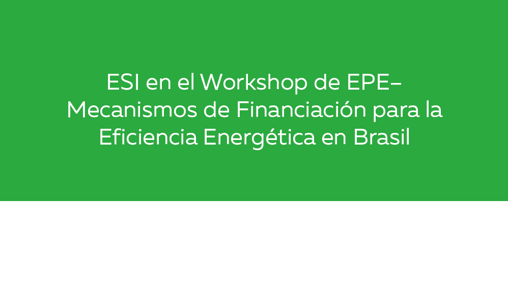 ESI-at-the-EPE-Workshop_es