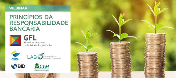 FEB_20_principios_POR