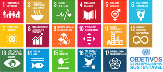 The BDMG Sustainability Bond Framework