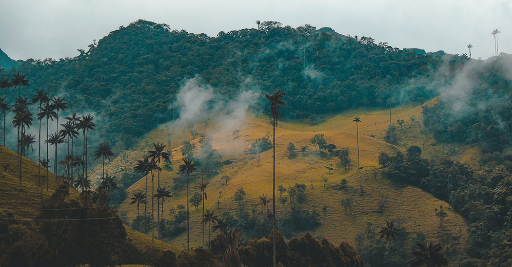 3-GFL-EVENTO-Generico