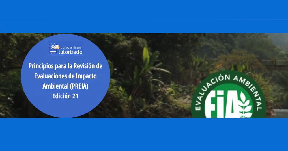 Principios para la revisión de la evaluación de impacto ambiental