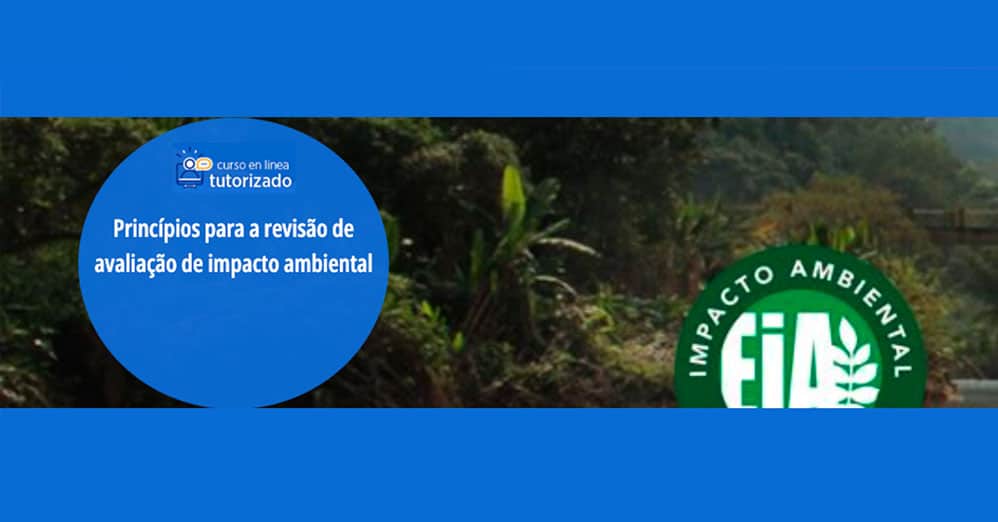Princípios para a revisão de avaliação de impacto ambiental