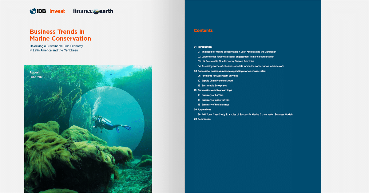 Tendências de negócios em conservação marinha: desbloqueando uma economia azul sustentável na América Latina e no Caribe