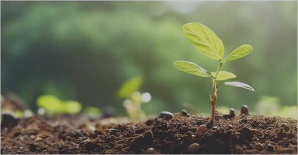 Relatório de Sustentabilidade do BID Invest 2022