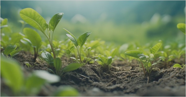 Grupo do BID lança Plano de Ação para acelerar a integração do capital natural e da biodiversidade